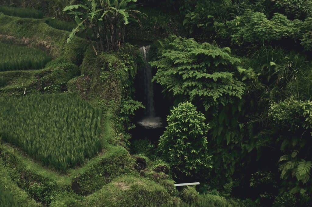 Waterfall at the Tagalalang Rice Terraces in Ubud, Bali