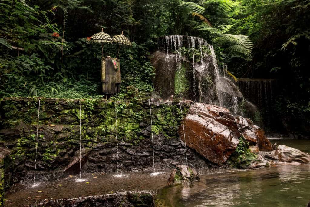 Natural pool for swimming