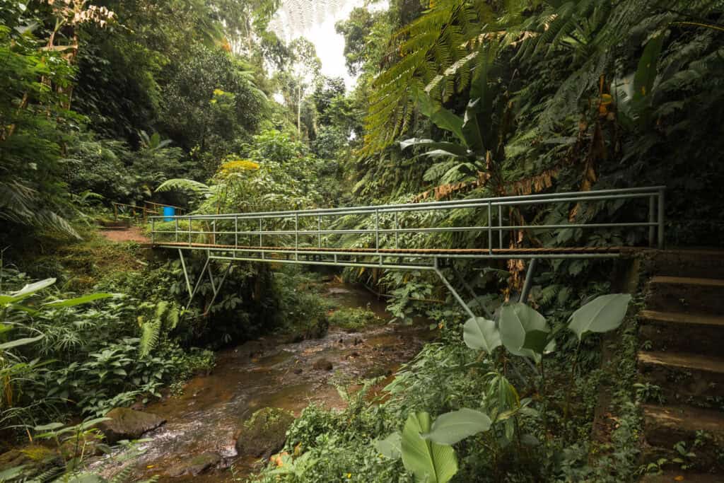 Hiking path and bridges to the waterfall