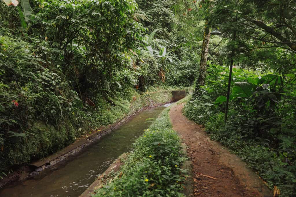Trail to Tukad Cepung Waterfall on Bali
