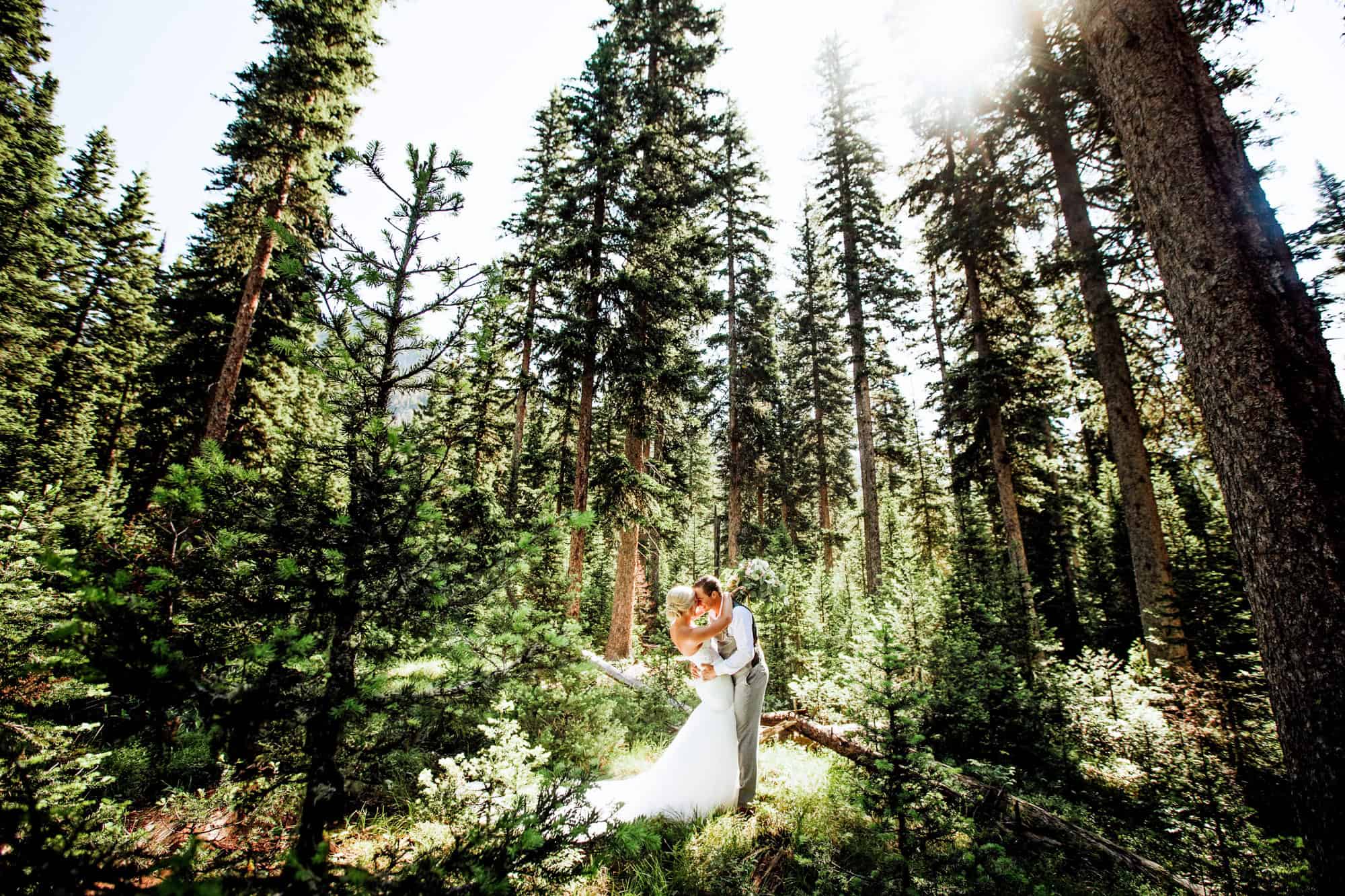 A summer elopement in Glacier National Park