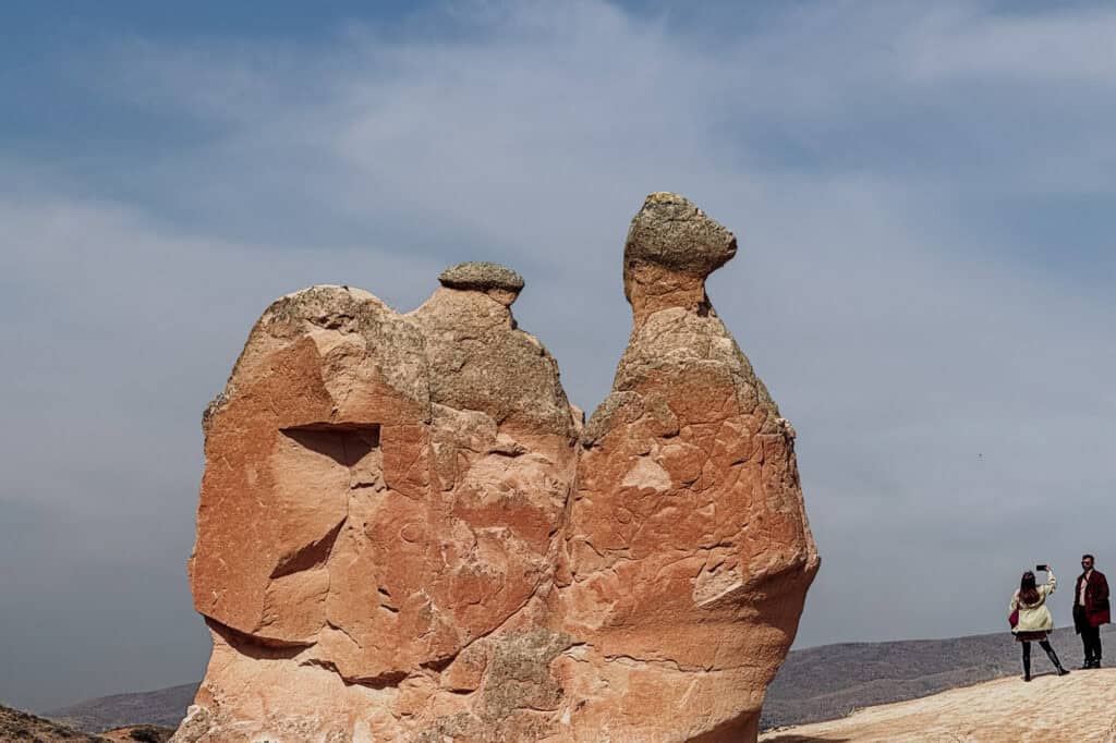 Imagination Valley camel