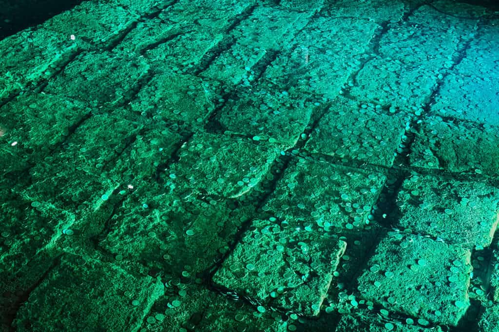 The water reservoir in Istanbul's ancient cistern