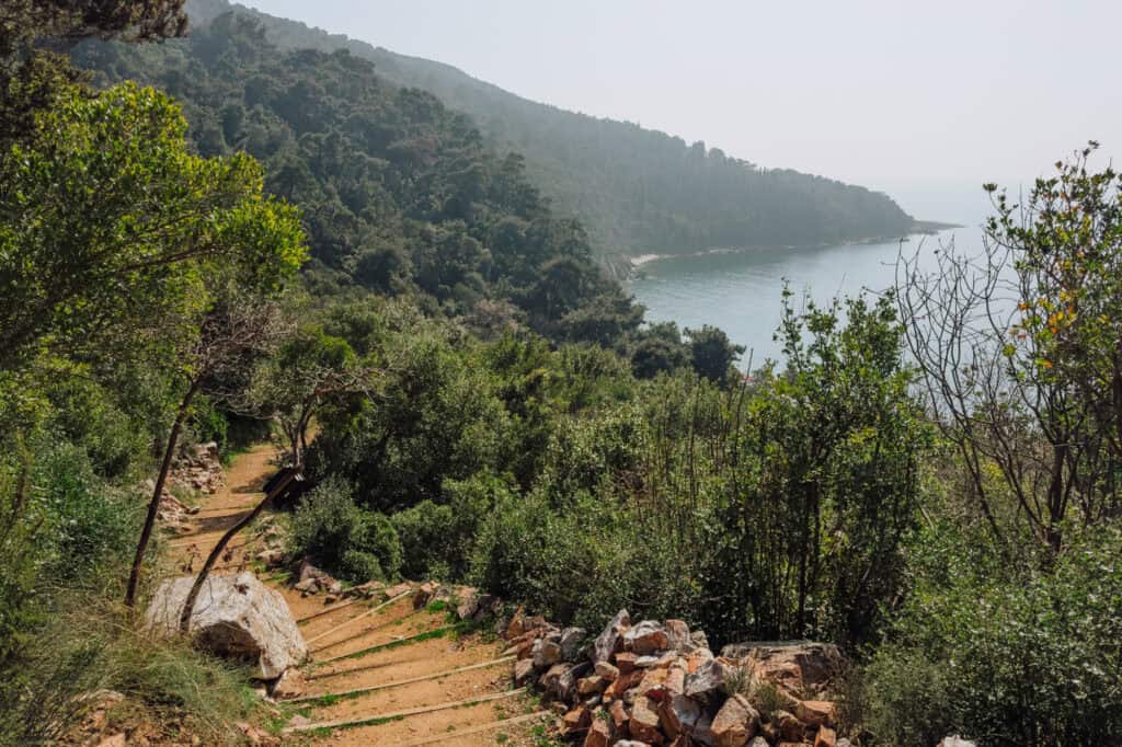 A hiking path down to the beach on the Sea of Marmara