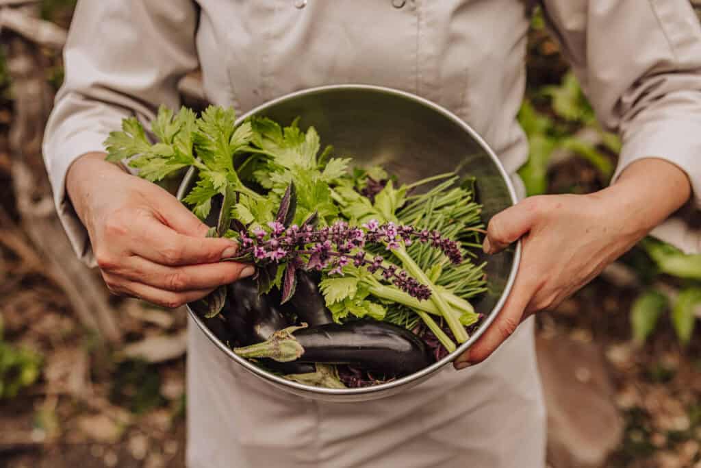 Ingredients for a salad grown on Madeira