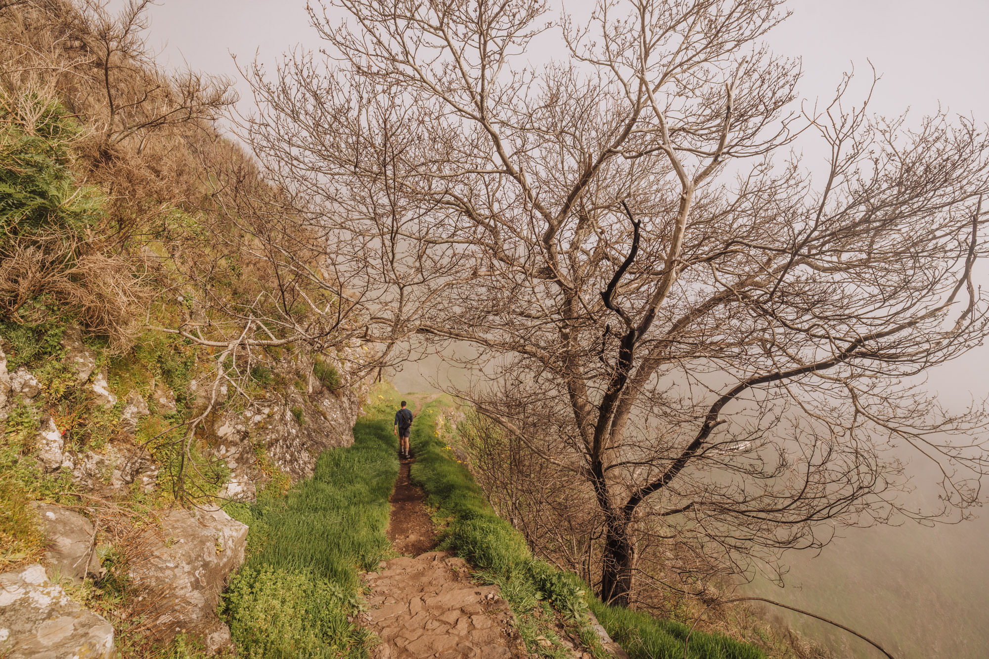 Jared Dillingham hiking on a trail damaged by wildfire