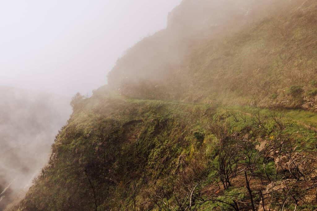 A cloudy hiking trail on Madeira