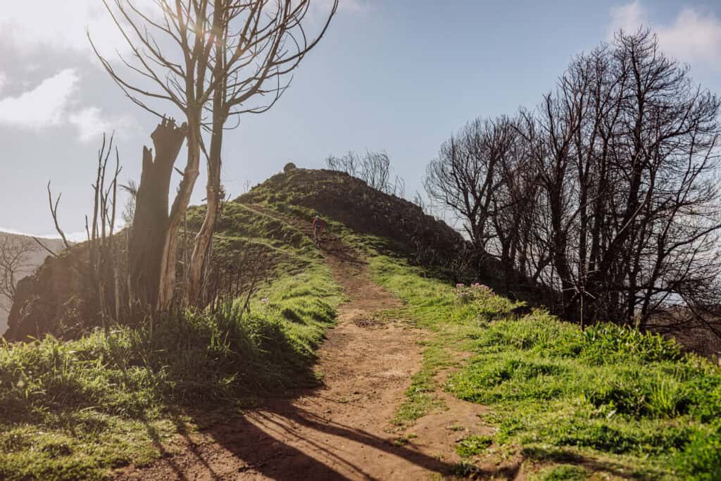 The PR12 Trailhead on Madeira