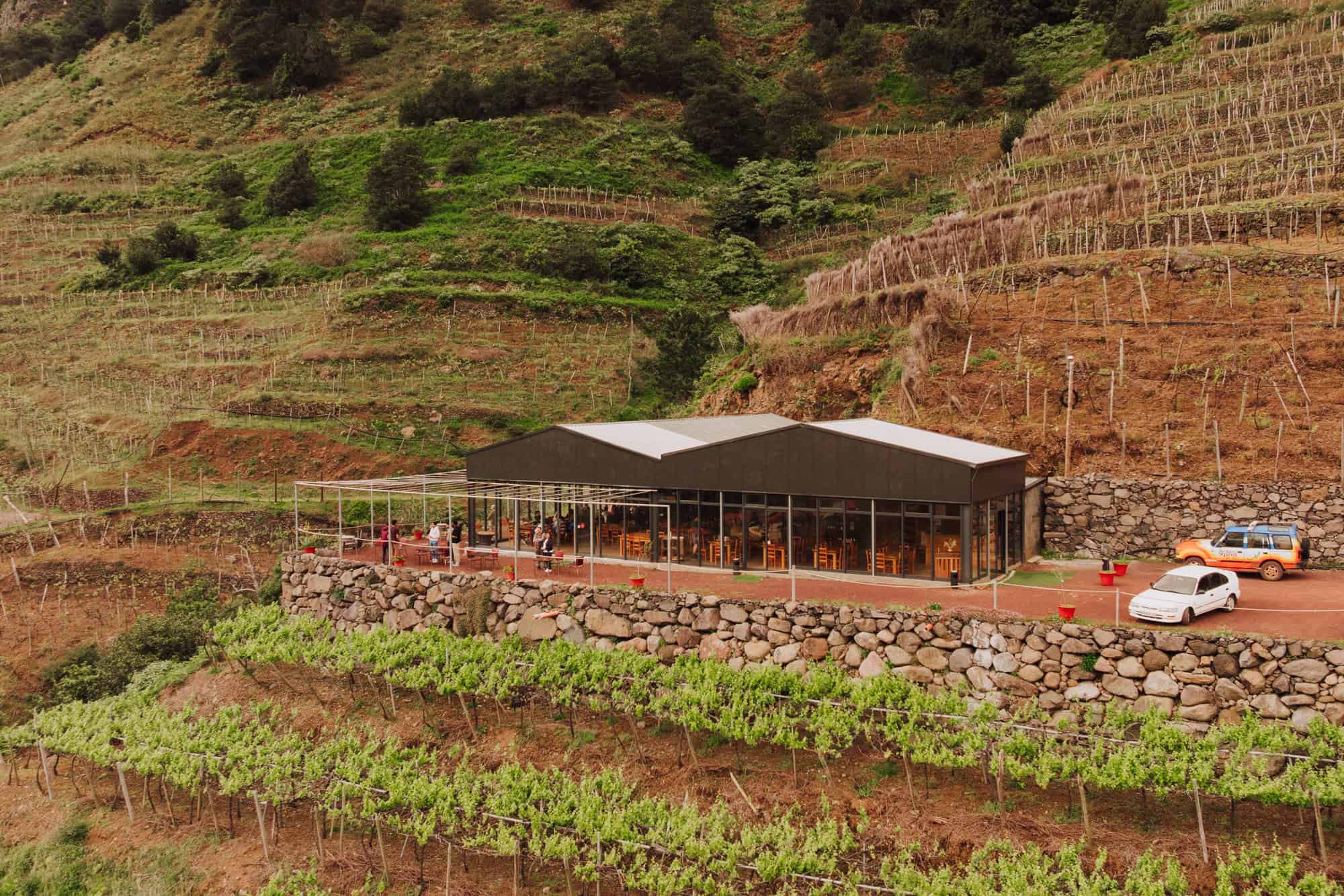 The vineyard and tasting room