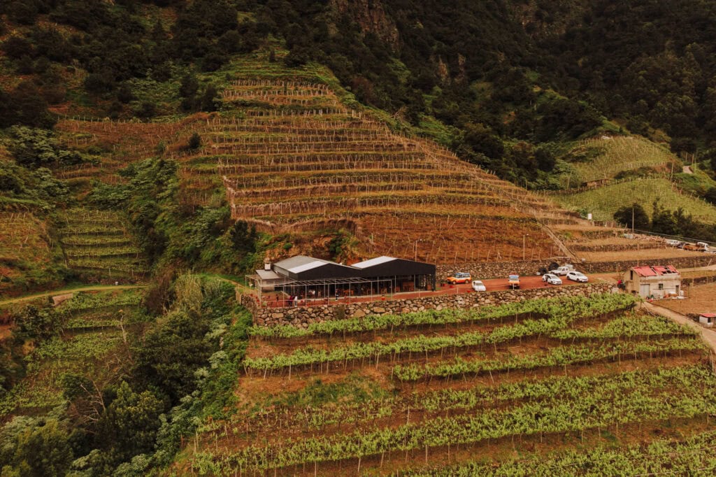 An aerial drone view of the vineyard