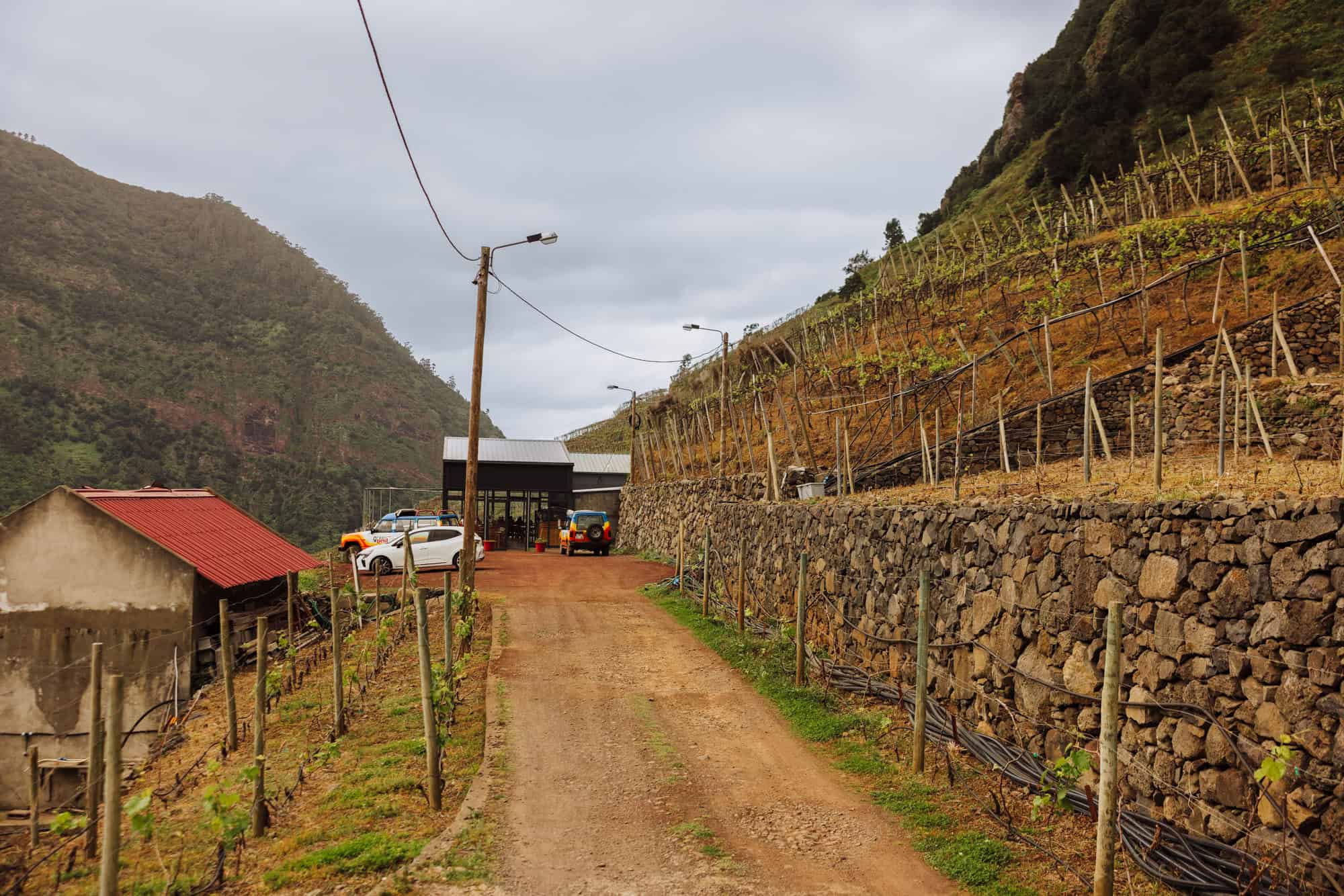 The road to the winery