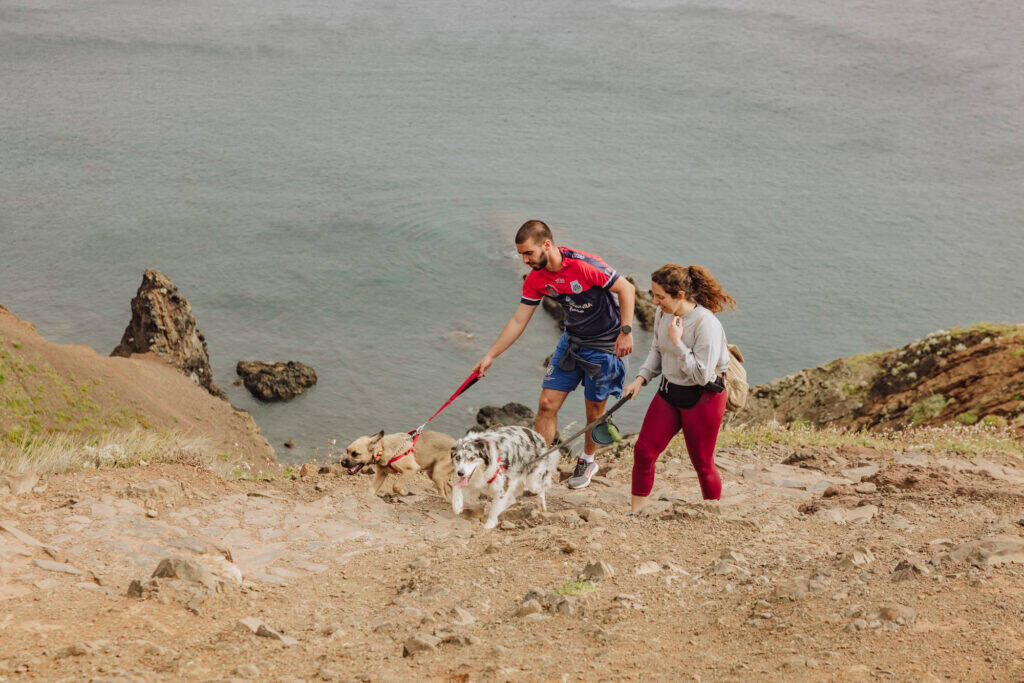 Dogs hiking near the beach in Madeira on the PR8 trail around Sao Lourenco