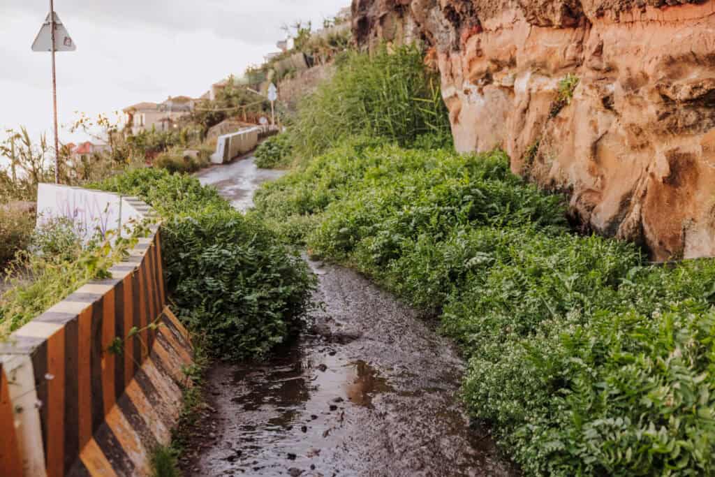 The road near the waterfall Cascata dos Anjos on Madeira