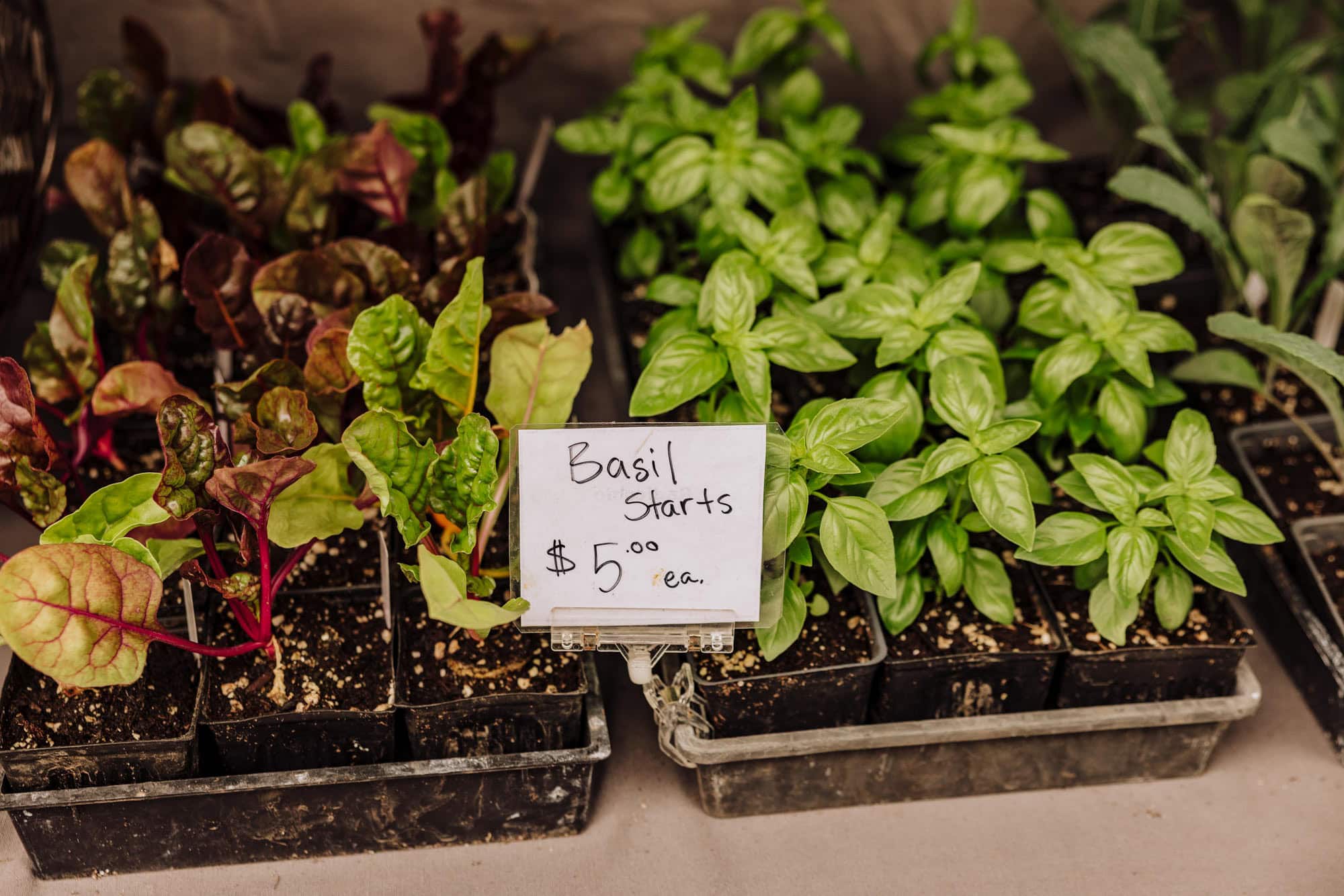 Specialties at the Huge Vancouver Farmers' Market - Jared's Detours
