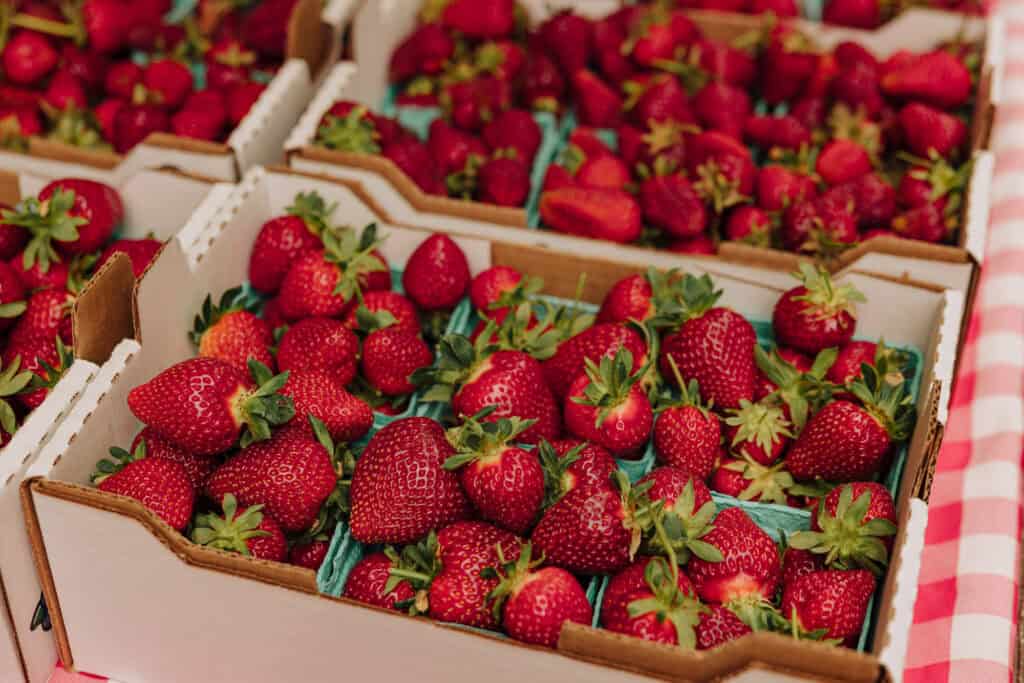 Strawberries for sale at the farmers market