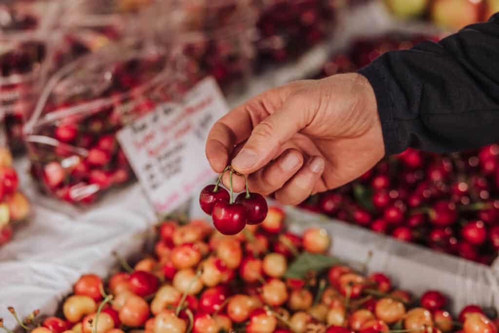 Early season cherries