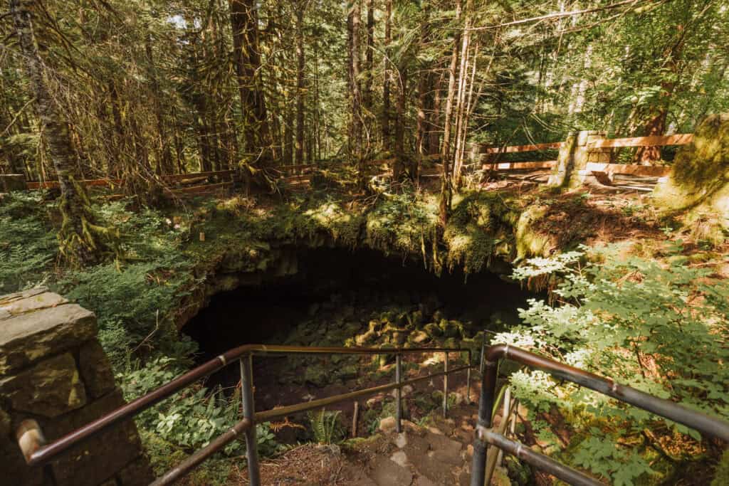 Looking down into Ape Cave near Mount St. Helens