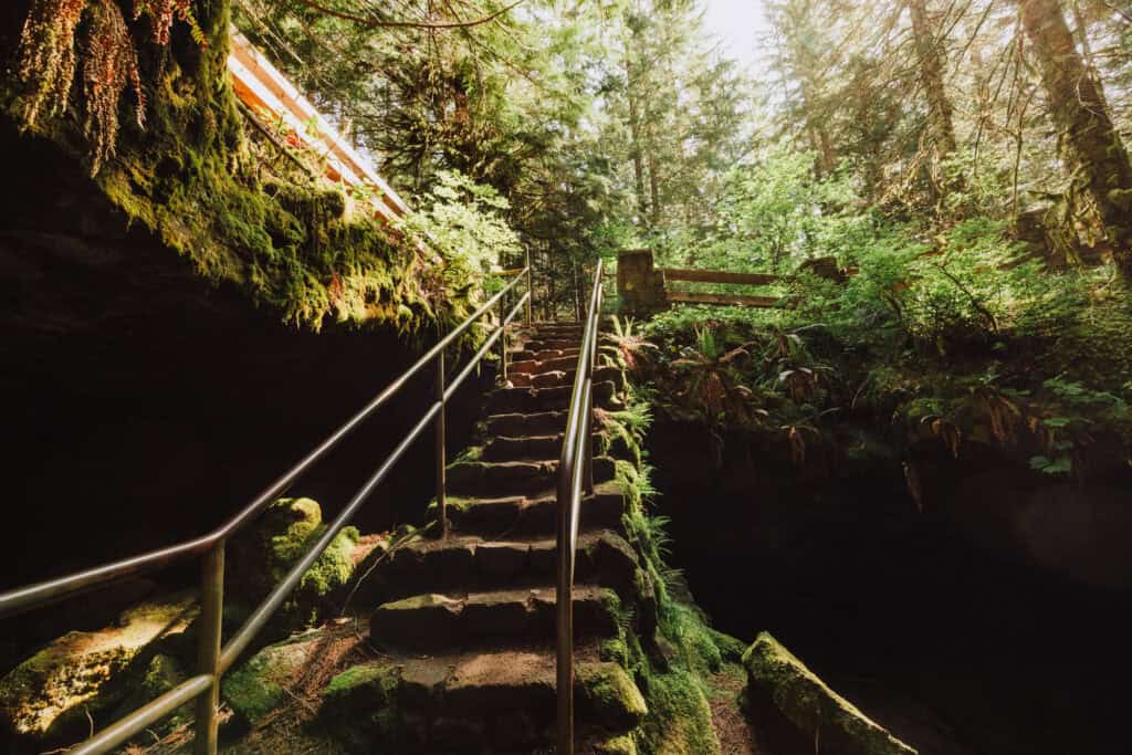 The staircase down into the lava river tube / cave