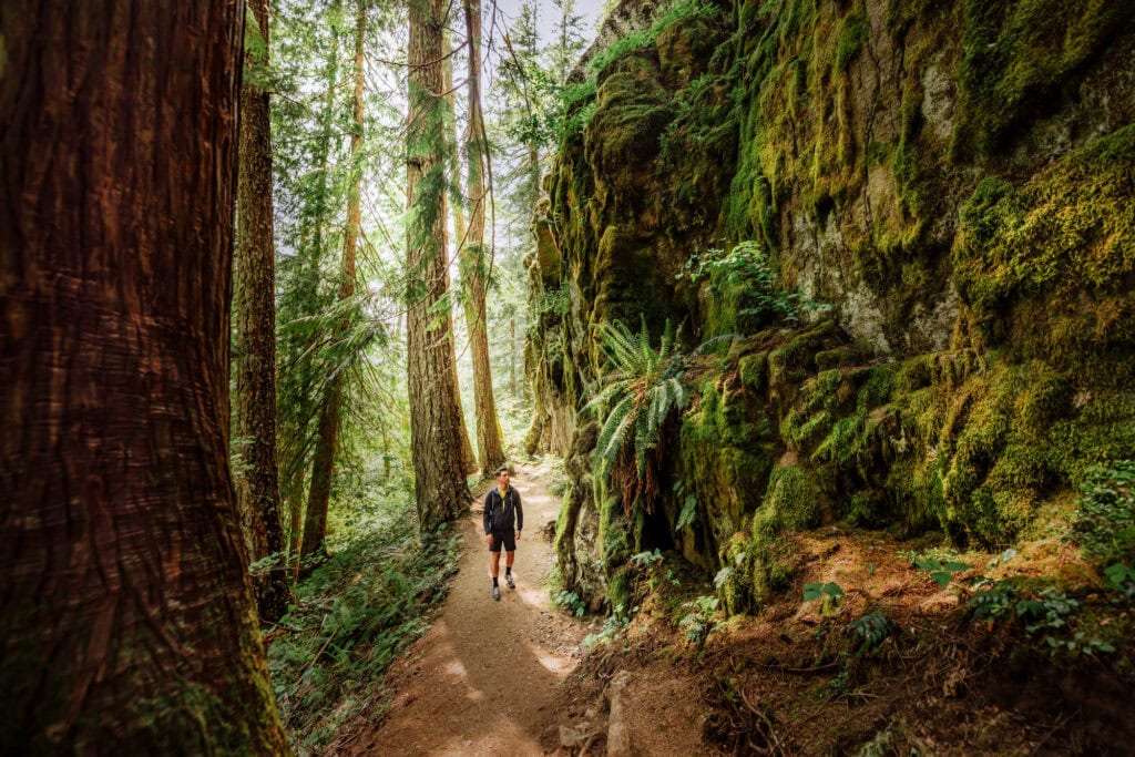 Hiking to Falls Creek Falsl in Washington