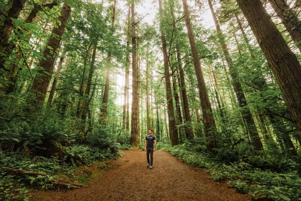 hiking the trail at Lacamas Creek in Camas, Washington