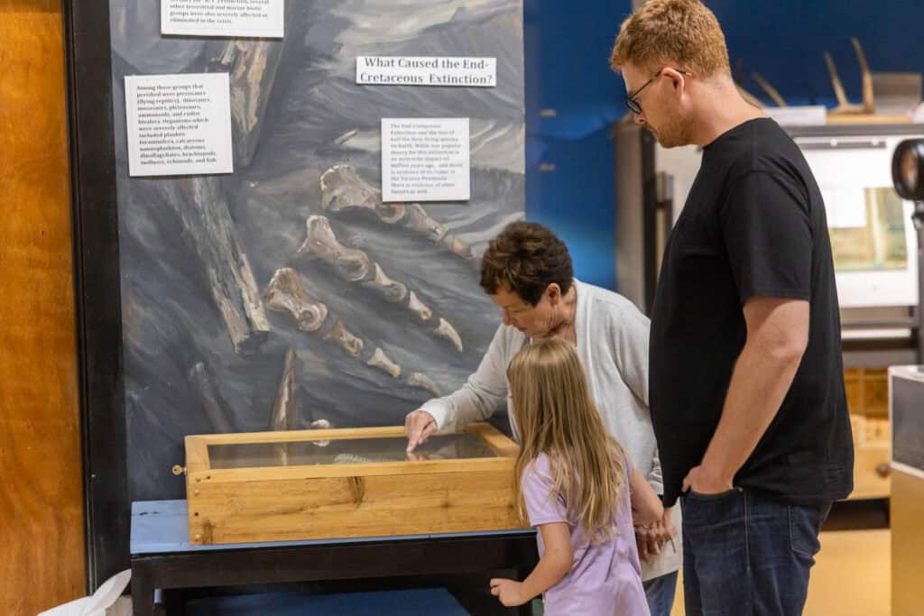 A family visiting the dinosaur museum