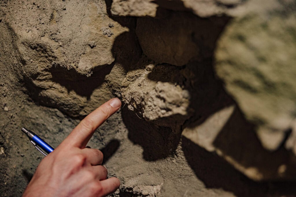 Horse hair in the old walls to help with insulation