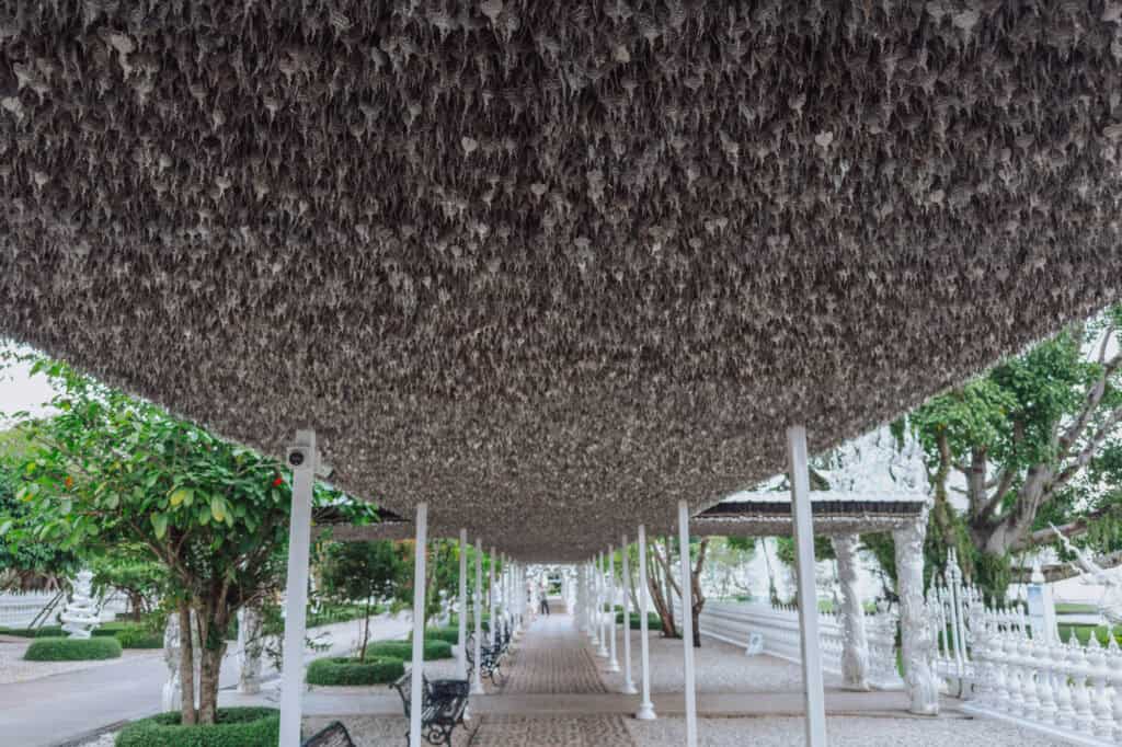 Bodhi prayer Leaves hung at the White Temple