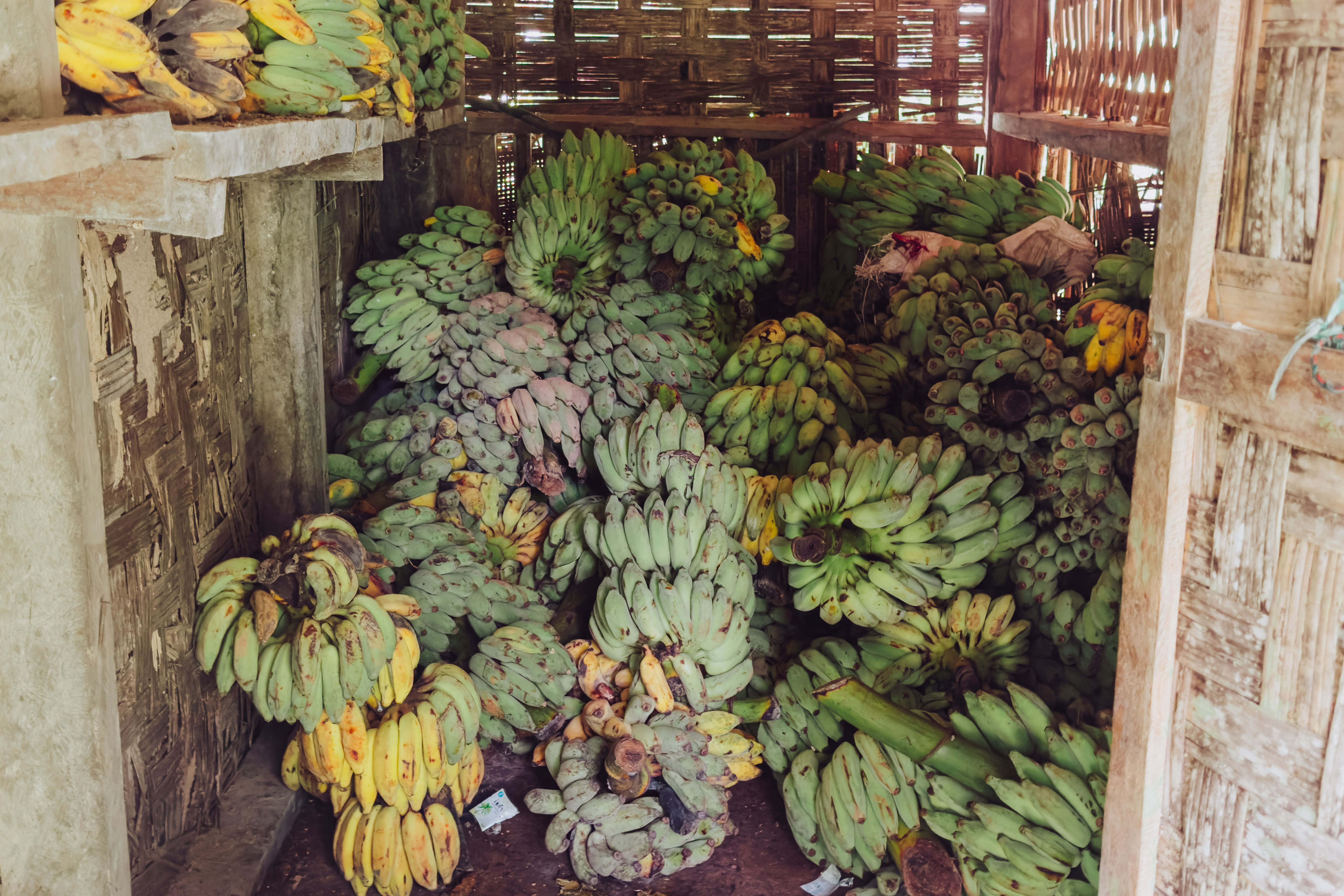 The food for rescued elephants at the Mekong Elephant Park