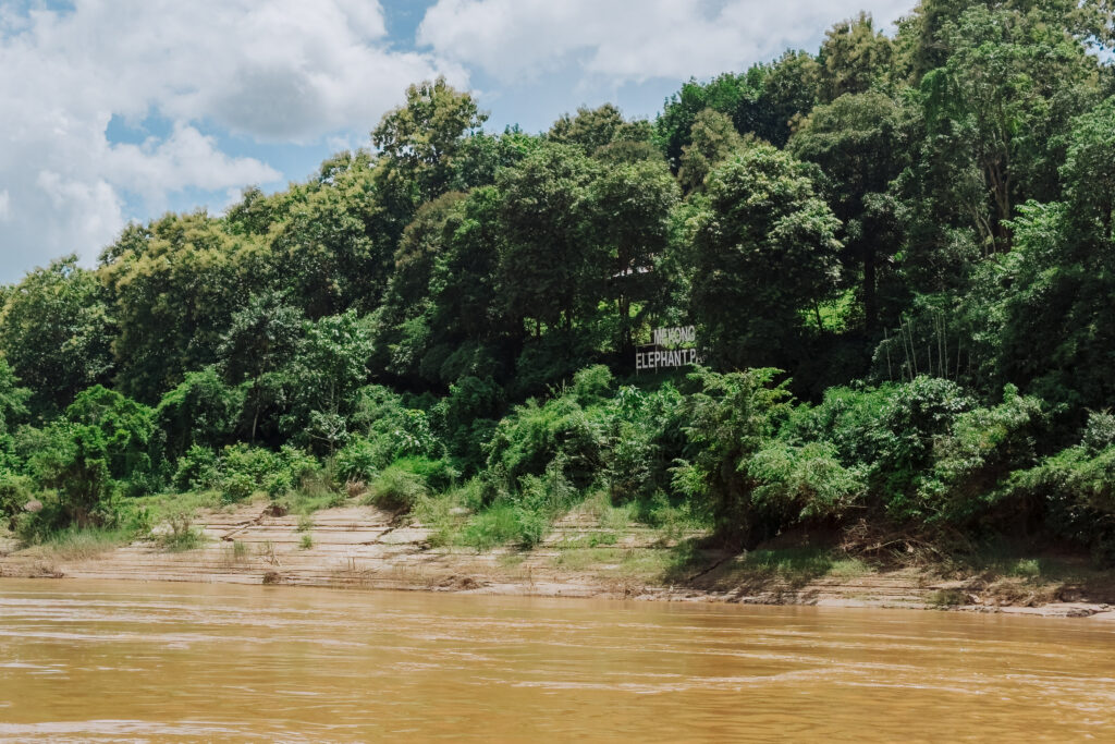 A view of the Mekong Elephant Park from the river