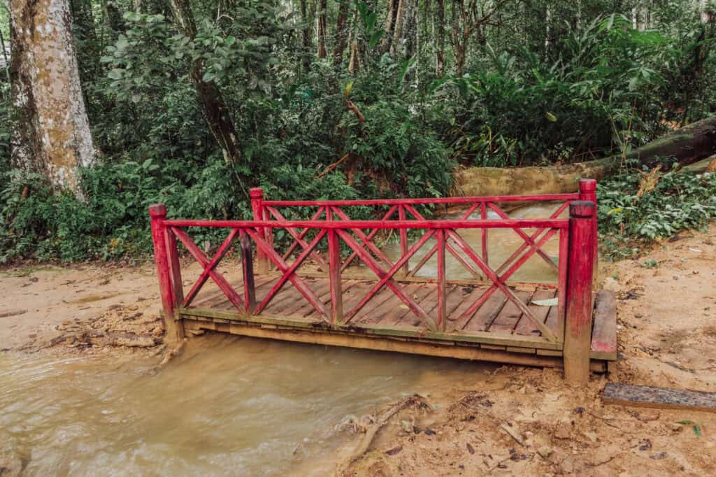 A bridge on the hike to the waterfall