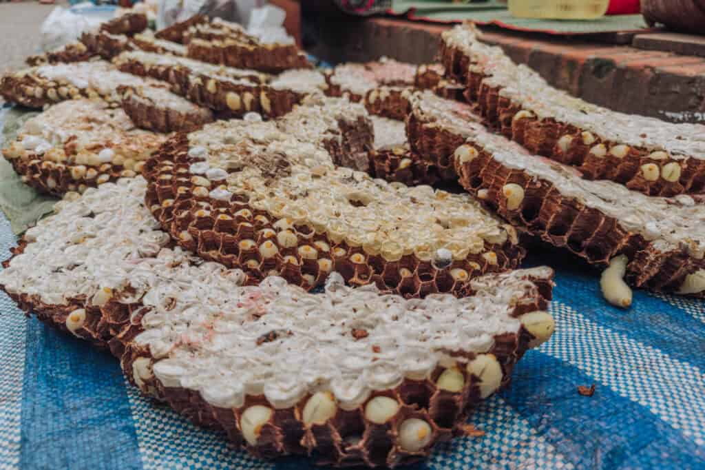 Silk worms for sale at a market in Laos