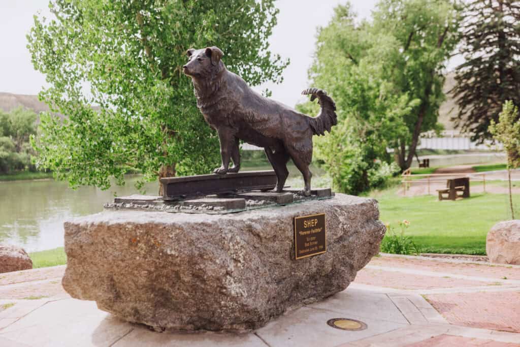 The statue of Shep in Fort Benton, MT