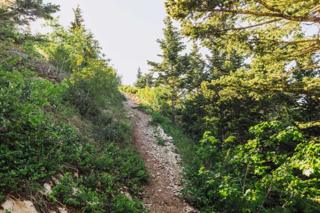 The hiking trail around Swift Dam in MT