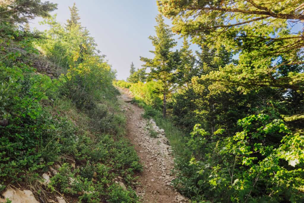 Hiking in Central Montana