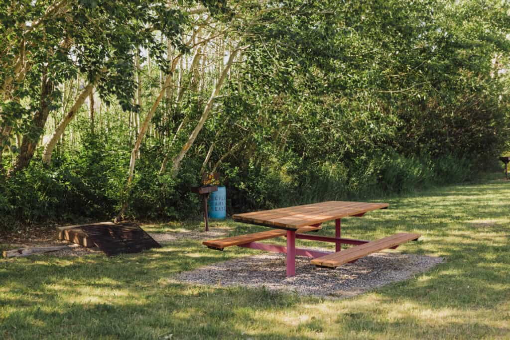 A camping site at Swift Reservoir in Montana's Pondera County