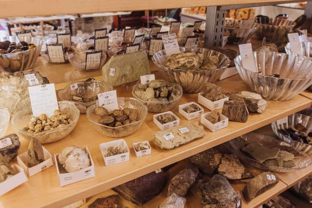 Some of the fossils and gems for sale at a store in Dupuyer, Montana