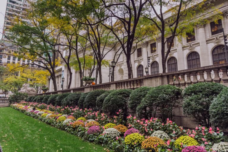 The garden at Bryant Park