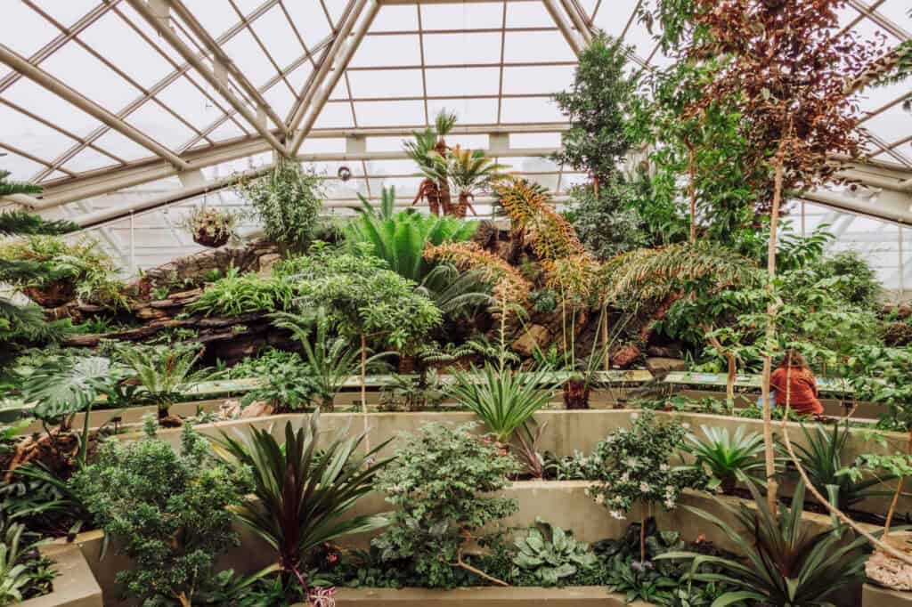 An atrium inside the Brooklyn Botanic Garden