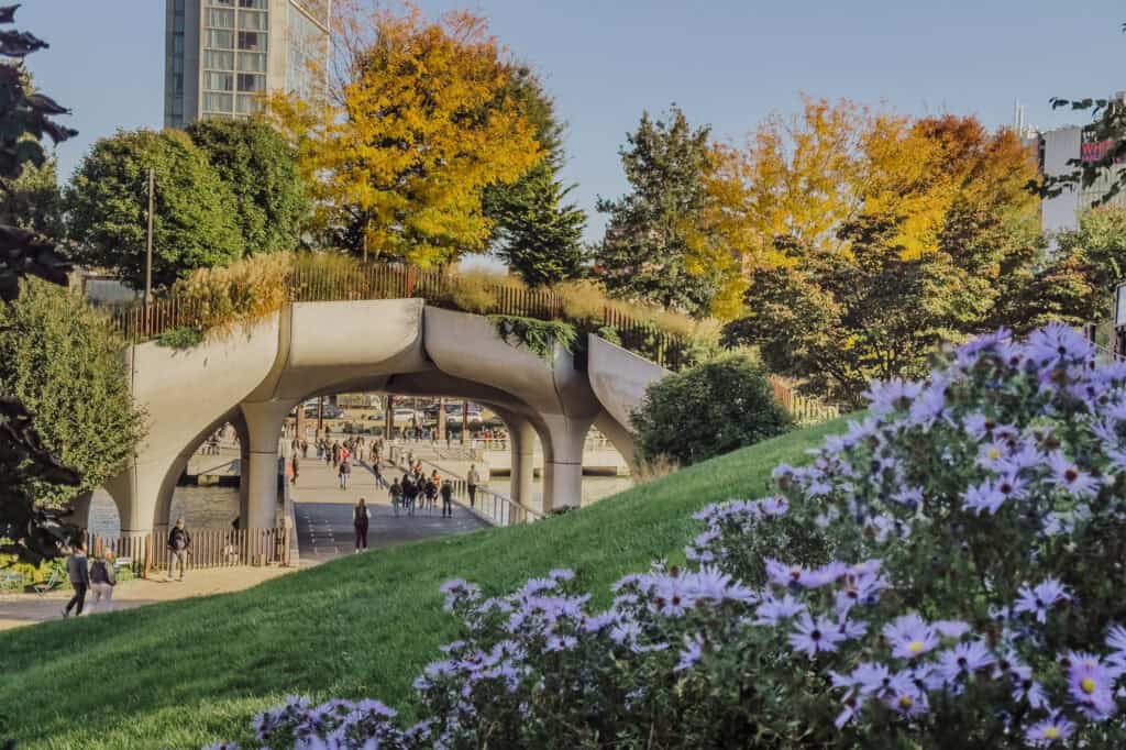 Little Island in NYC in autumn