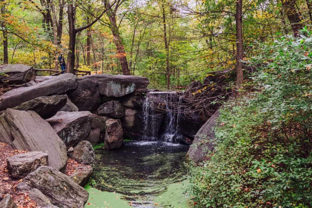 A waterfall in New York City's Central Park