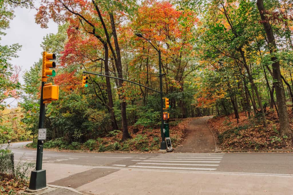 The North Woods in Central Park in Manhattan
