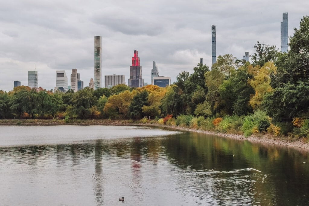Central Park in New York City, with the skyline beyond the reservoir