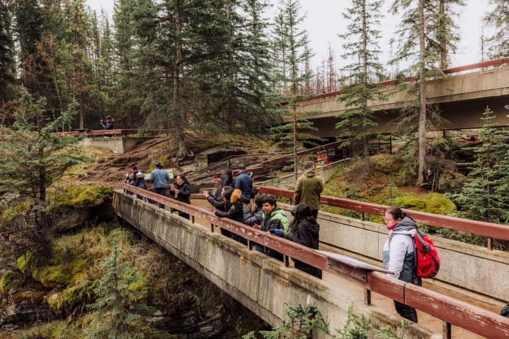 The crowd at Athabasca Falls in Jasper