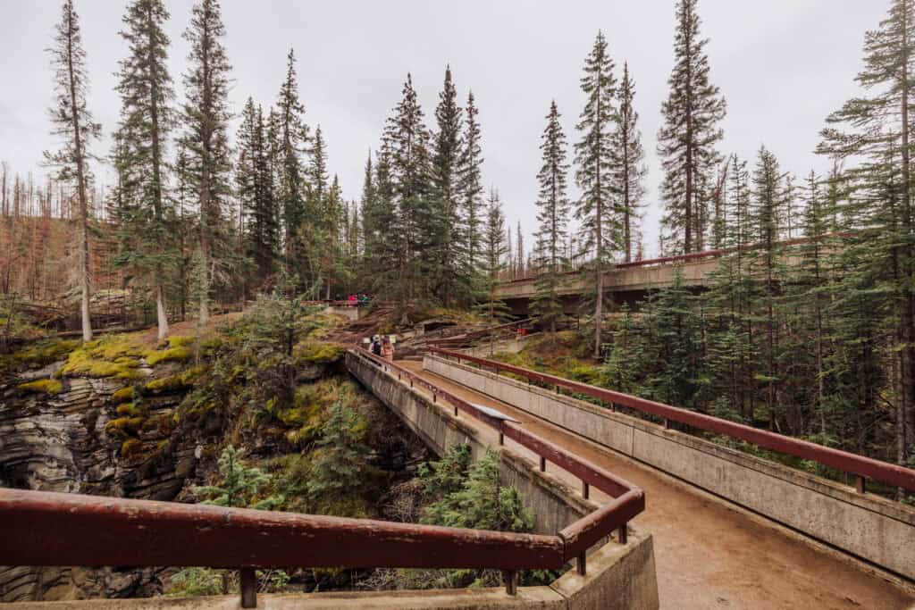 The trail and viewing platform at Athabasca Falls