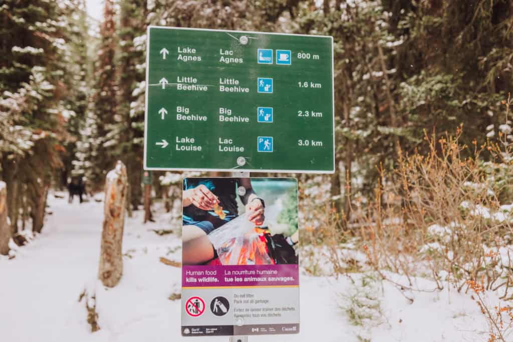 A sign for the Big Beehive Hike