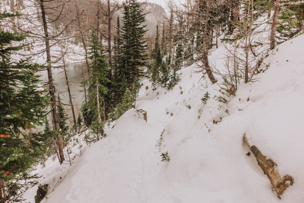 The switchbacks up the mountain to the Big Beehive