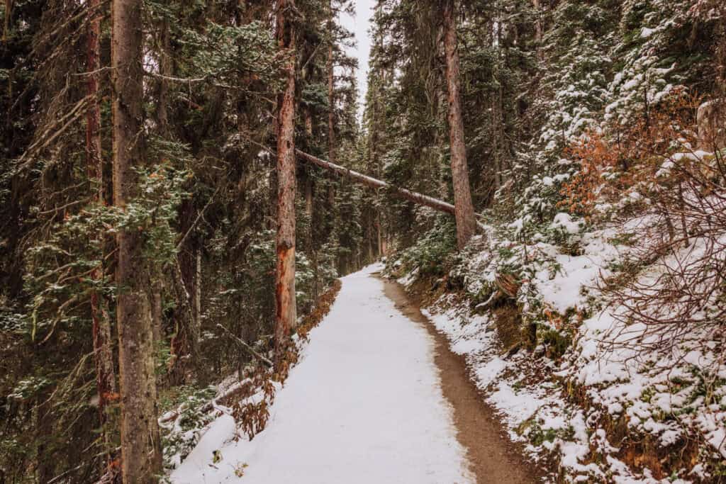 Climbing from Lake Louise to Lake Agnes