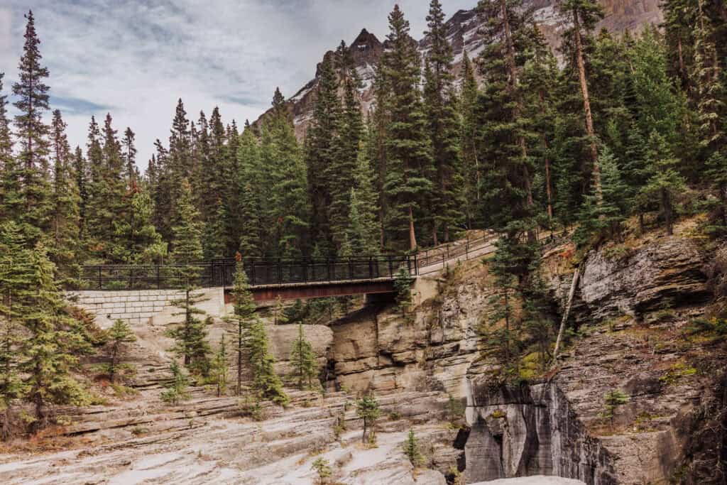 A view from down in Mistaya Canyon