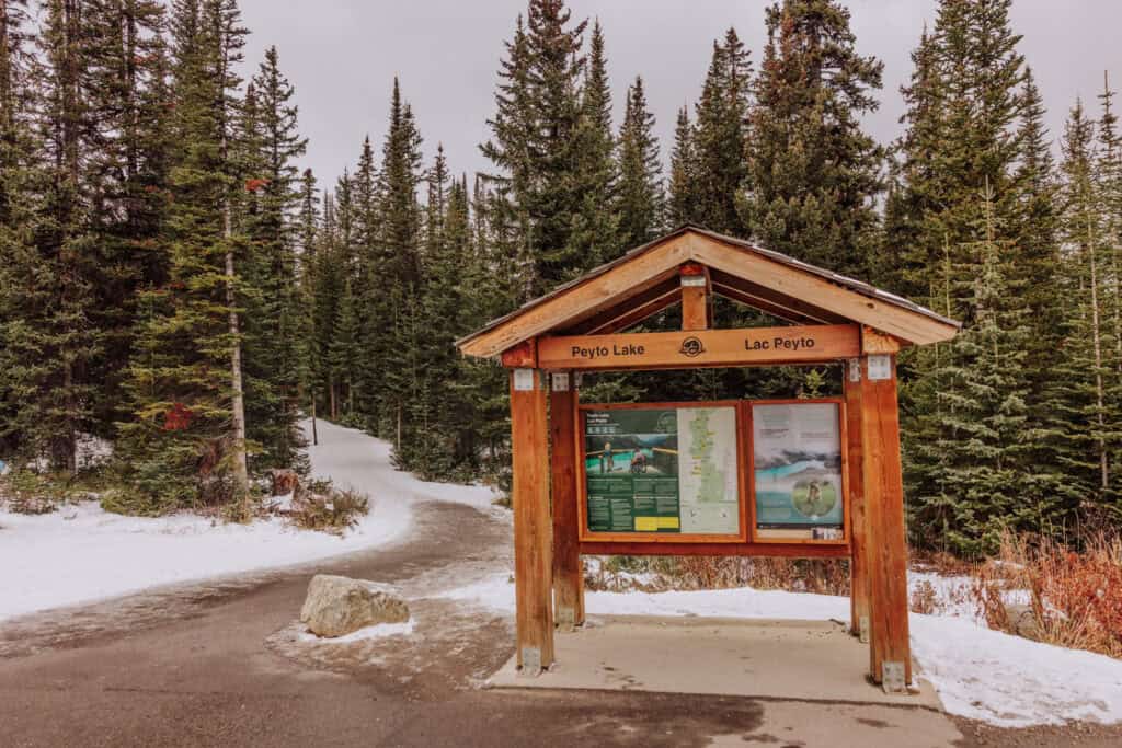 The trailhead that leads to Peyto Lake and Bow Summit