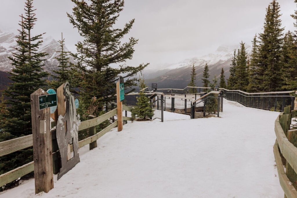 The viewpoint over Peyto Lake